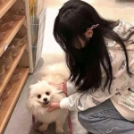 超次元觉醒九游最新版下载